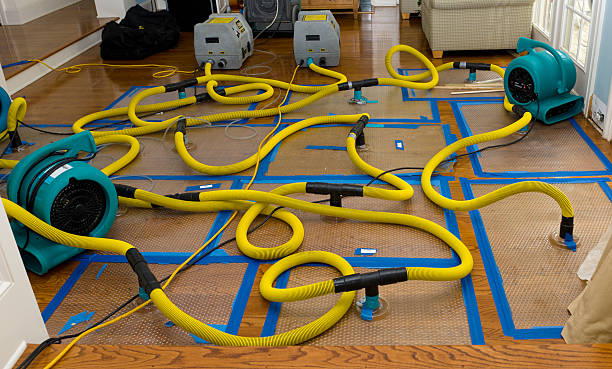 Professional Basement Flood Cleanup technician working in Riddleton, TN